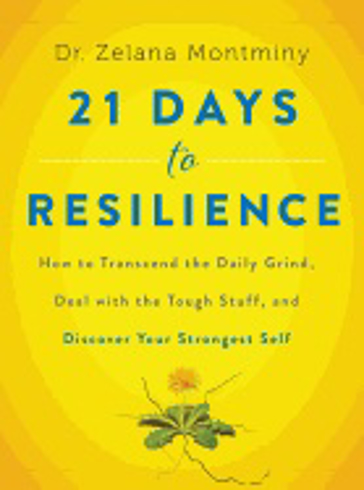 Bild på 21 days to resilience - how to transcend the daily grind, deal with the tou