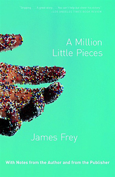 Bild på A Million Little Pieces