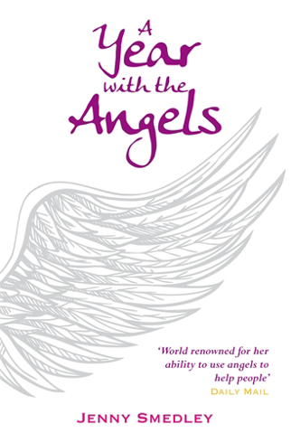 Bild på A Year with the Angels