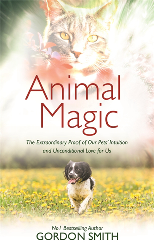 Bild på Animal magic - the extraordinary proof of our pets intuition and unconditio