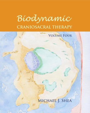 Bild på Biodynamic Craniosacral Therapy, Volume Four