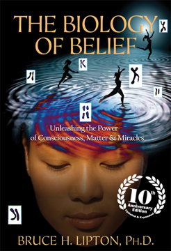 Bild på Biology of belief - unleashing the power of consciousness, matter & miracle