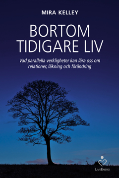 Bild på Bortom tidigare liv : vad parallella verkligheter kan lära oss om relationer, läkning och förändring