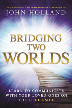 Bild på Bridging Two Worlds