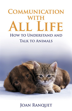 Bild på Communication with all life - how to understand and talk to animals