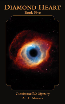 Bild på Diamond Heart: Book Five