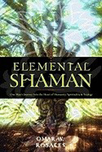 Bild på Elemental Shaman: One Man's Journey Into the Heart of Humanity, Spirituality & Ecology