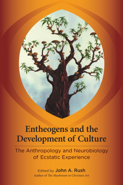 Bild på Entheogens and the development of culture