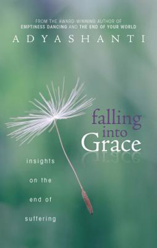 Bild på Falling into grace - insights on the end of suffering