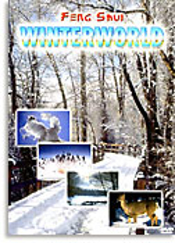 Bild på Feng Shui - Winterworld (DVD)