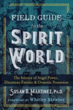 Bild på Field Guide To The Spirit World