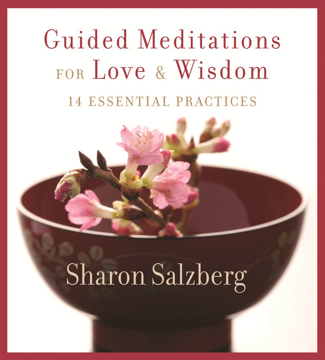 Bild på Guided meditations for love and wisdom - 14 essential practices