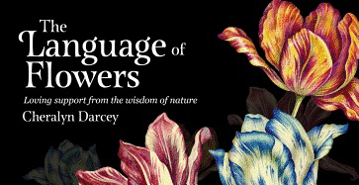 Bild på Language Of Flowers - Mini Inspiration Cards
