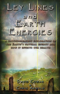Bild på Ley Lines And Earth Energies: An Extraordinary Journey Into The Earth's Natural Energy System