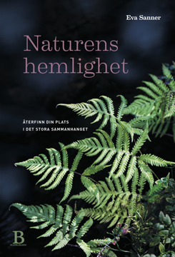 Bild på Naturens hemlighet : Återfinn din plats i det stora sammanhanget