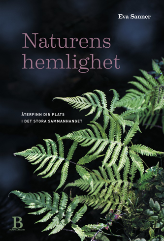 Bild på Naturens hemlighet : Återfinn din plats i det stora sammanhanget