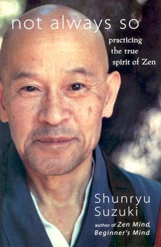 Bild på Not always so - practicing the true spirit of zen