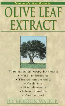Bild på Olive Leaf Extract: Nature's Antibiotic