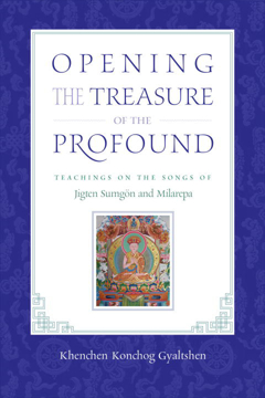 Bild på Opening the Treasure of the Profound