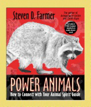 Bild på Power animals - how to connect with your animal spirit guide
