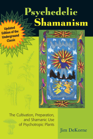 Bild på Psychedelic Shamanism, Updated Edition