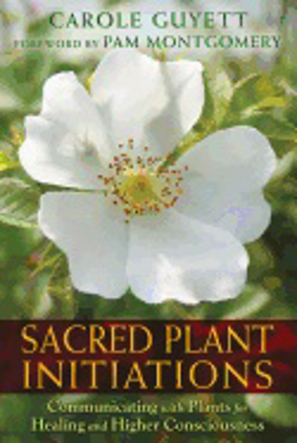 Bild på Sacred plant initiations - communicating with plants for healing and higher