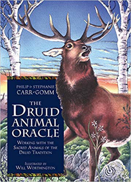 Bild på The Druid Animal Oracle