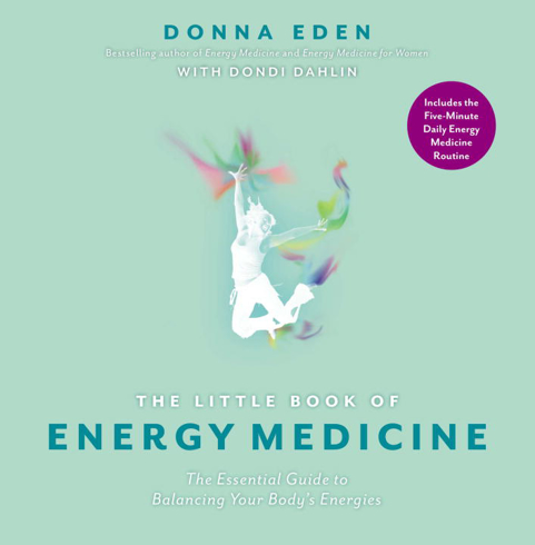 Bild på The Little Book of Energy Medicine