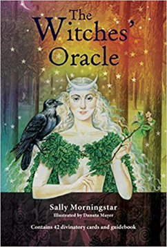 Bild på The Witches' Oracle: (Book & Cards)