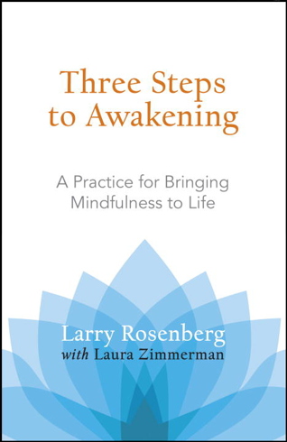 Bild på Three Steps to Awakening : A Practice for Bringing Mindfulness to Life