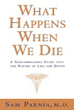 Bild på What Happens When We Die: A Groundbreaking Study Into The Na