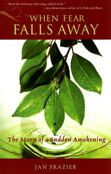 Bild på When fear falls away - the story of a sudden awakening