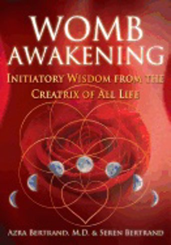Bild på Womb awakening - initiatory wisdom from the creatrix of all life