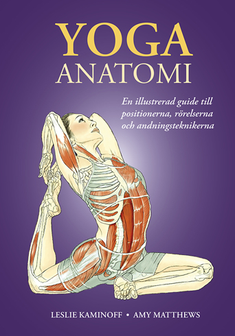 Bild på Yoga : anatomi