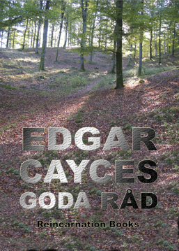Bild på Edgar Cayces goda råd : urval ur hans readingar även kallad "Den svarta boken" i Den sovande profeten av Jess Stearn