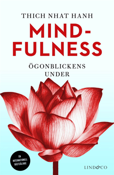 Bild på Mindfulness : ögonblickens under