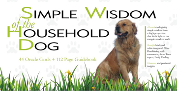 Bild på Simple wisdom of the household dog - an oracle