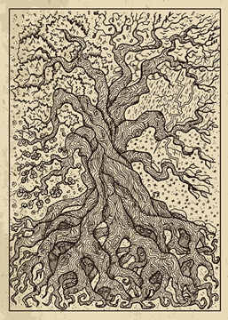 Bild på Lenormand Engraved Tree (13x18)