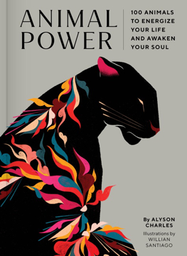 Bild på Animal Power