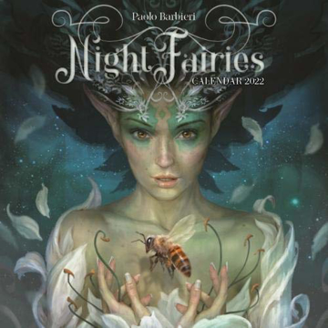 Bild på Night Fairies Calendar 2022