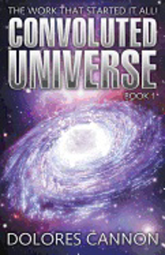 Bild på Convoluted universe: book one