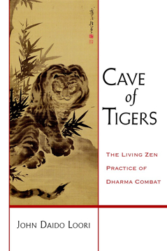 Bild på Cave of Tigers