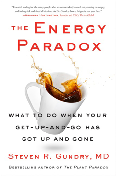 Bild på Energy Paradox Hb