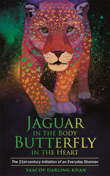 Bild på Jaguar in the body, butterfly in the heart - the real-life initiation of an