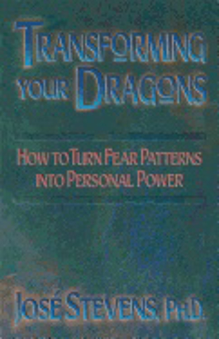 Bild på Transforming Your Dragons : How to turn fear patterns into personal power
