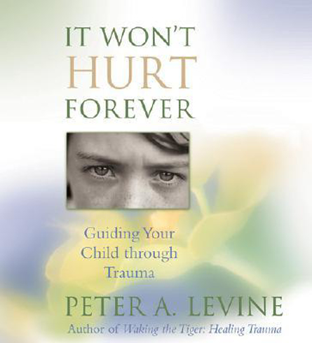 Bild på It Won't Hurt Forever: Guiding Your Child Through Trauma