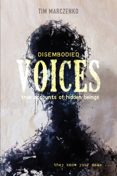 Bild på Disembodied Voices : True Accounts of Hidden Beings