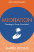 Bild på Meditation - coming to know your mind