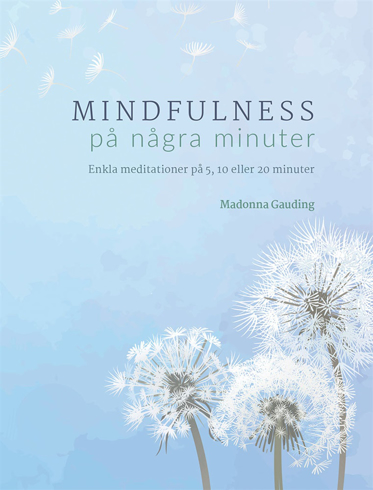 Bild på Mindfulness på några minuter