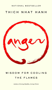 Bild på Anger: Wisdom For Cooling The Flames (Q)